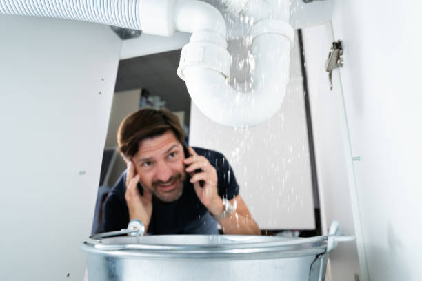 Best Drain Cleaning Services  in Center Line, MI