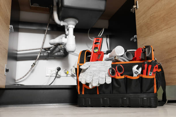 Best Residential Plumbing Services  in Center Line, MI