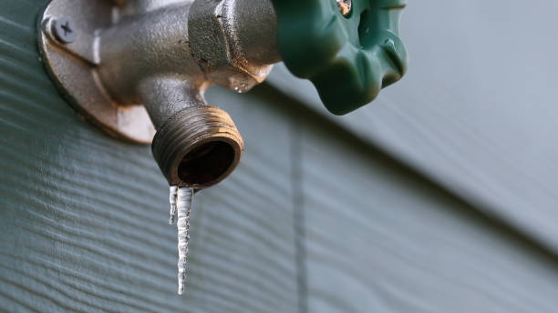 Best Drain Cleaning Services  in Center Line, MI